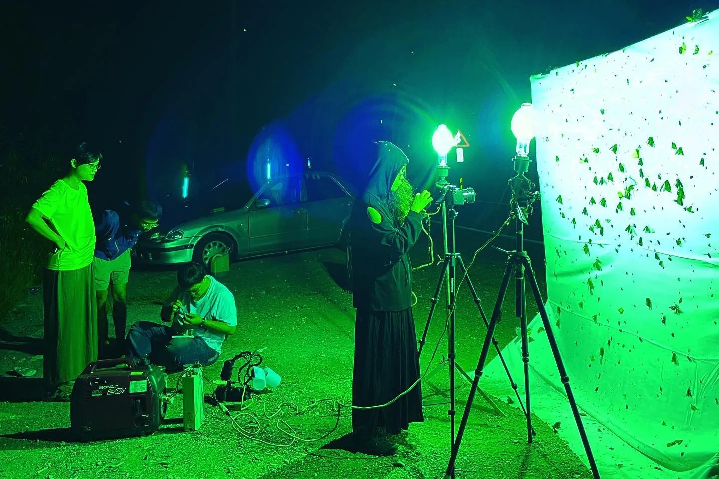 2022 台東光祭 (3)